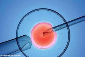 万级层流胚胎实验室